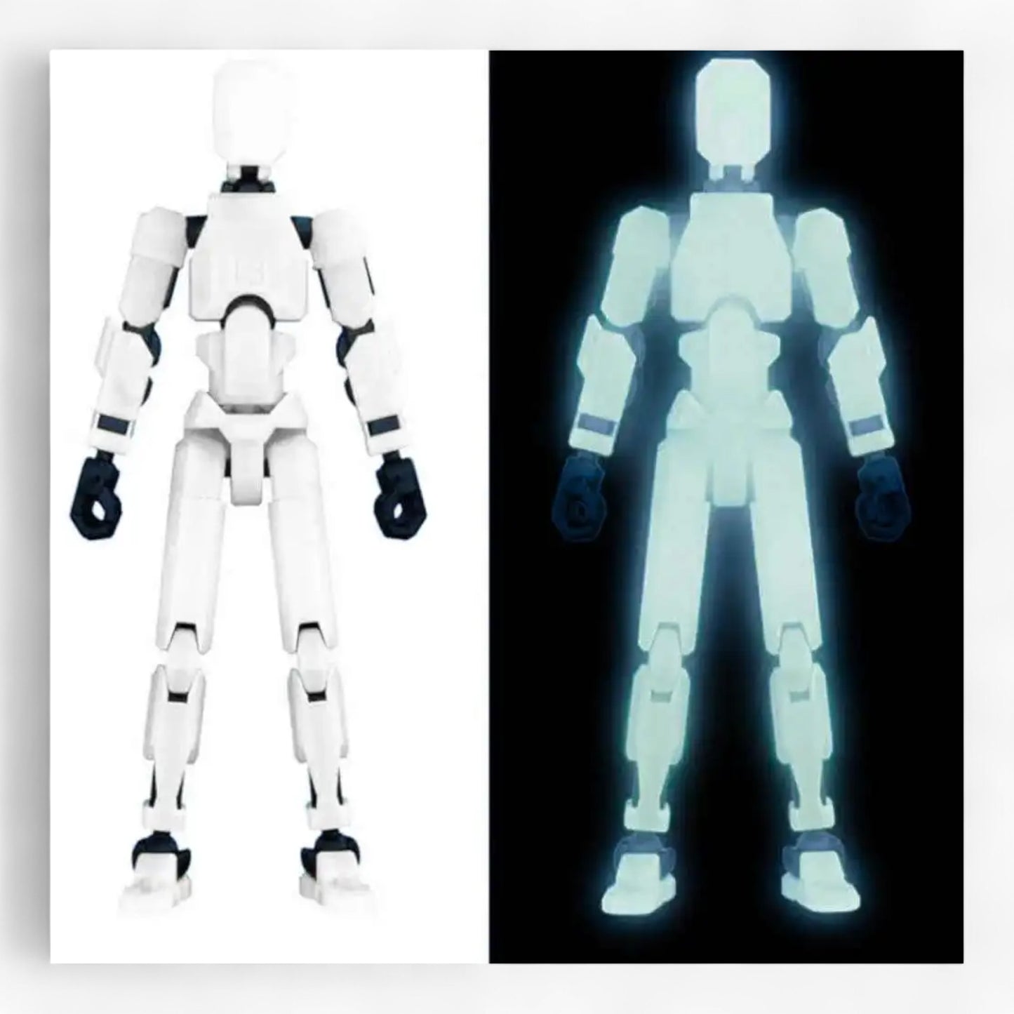 Dummy 13